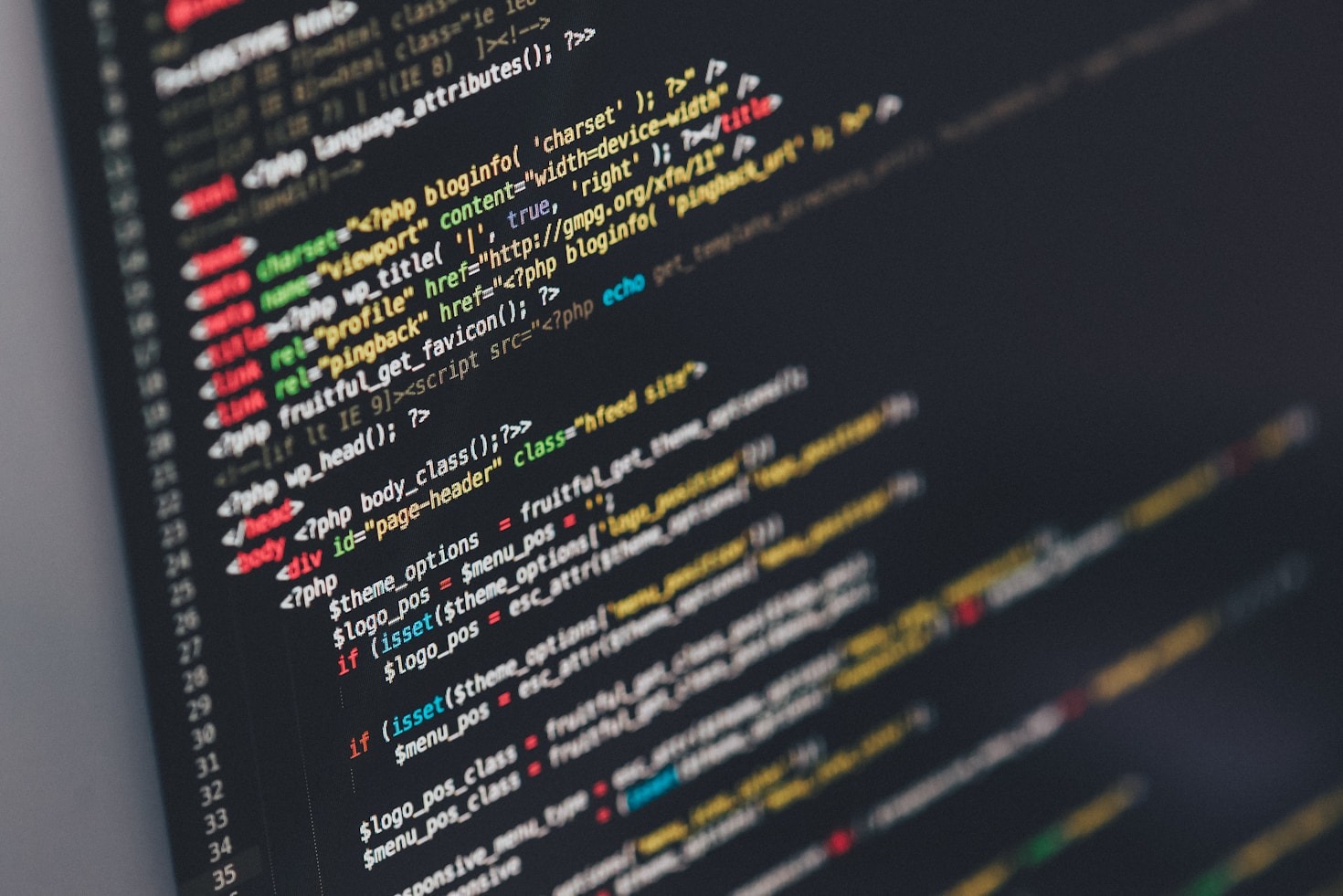 Career Insights: 11 Years in Tech Development